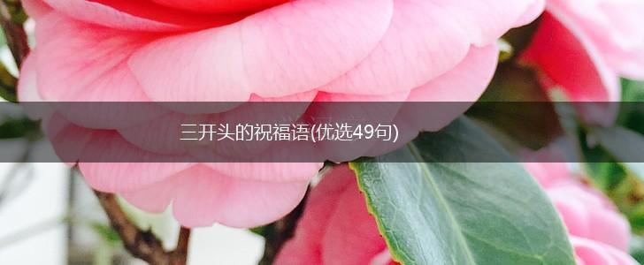 三开头的祝福语(优选49句),第1张