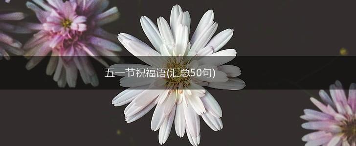 五一节祝福语(汇总50句),第1张