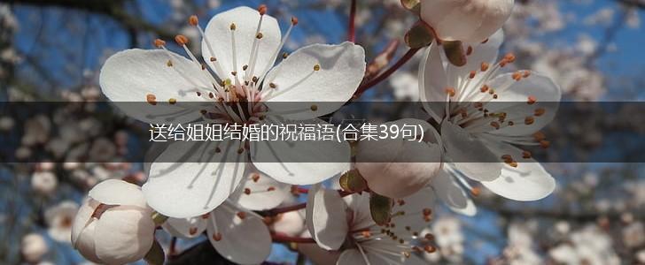 送给姐姐结婚的祝福语(合集39句),第1张