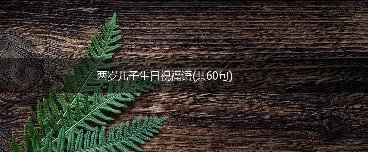 两岁儿子生日祝福语(共60句),第1张