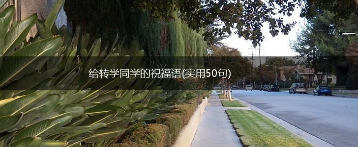 给转学同学的祝福语(实用50句),第1张