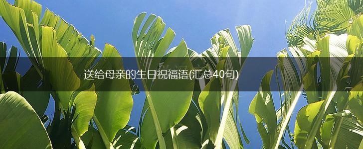 送给母亲的生日祝福语(汇总40句),第1张