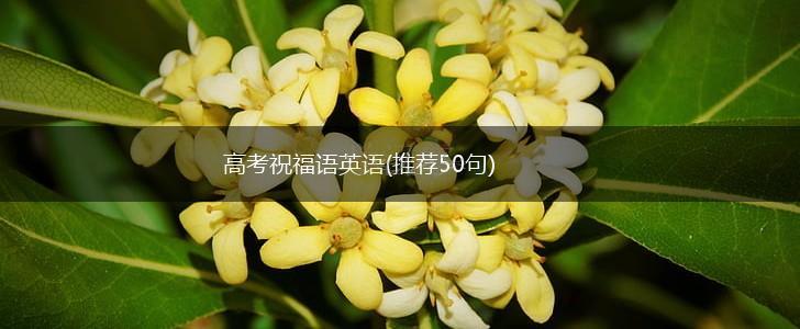 高考祝福语英语(推荐50句),第1张