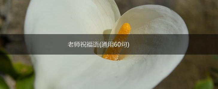 老师祝福语(通用60句),第1张