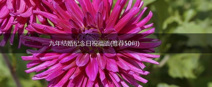 九年结婚纪念日祝福语(推荐50句),第1张