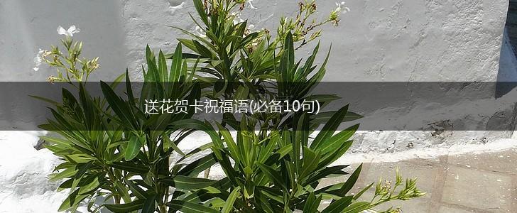 送花贺卡祝福语(必备10句),第1张