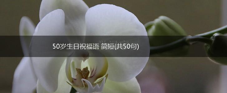 50岁生日祝福语 简短(共50句),第1张