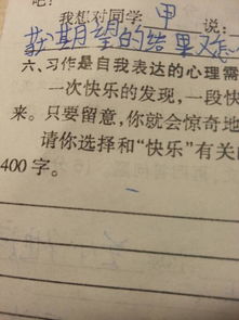 有关第一次发现音乐的作文600字