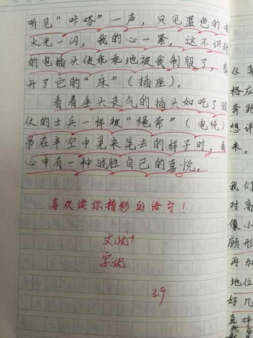 有关乐趣的300字作文