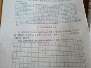 有关大师大家的作文500字