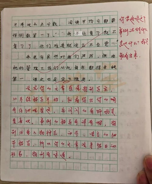 有关端午节的小学作文300字