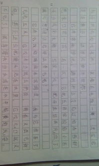 小学生有关动物的作文300字作文