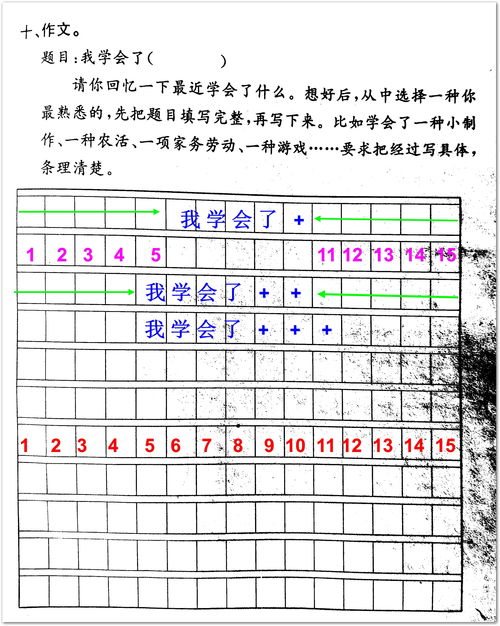 有关写小事物的作文三级作文三百字