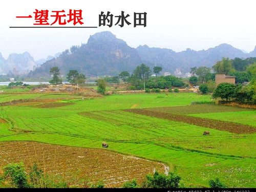 我的家乡风景300字作文大全,小学生风景作文大全,400字风景作文大全