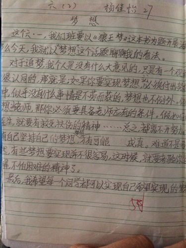 有关心愿的作文800字