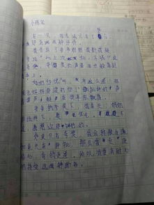 有关写什么的爱的作文