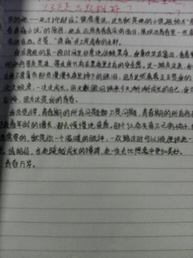 关于有志者事竟成的名人故事作文,一位名人的故事作文,名人故事作文600字