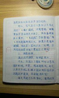 关于网络的作文200字,以网络为话题的作文200字,我与网络作文200字